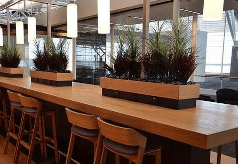 A modern bar with wooden stools and potted plants. 2