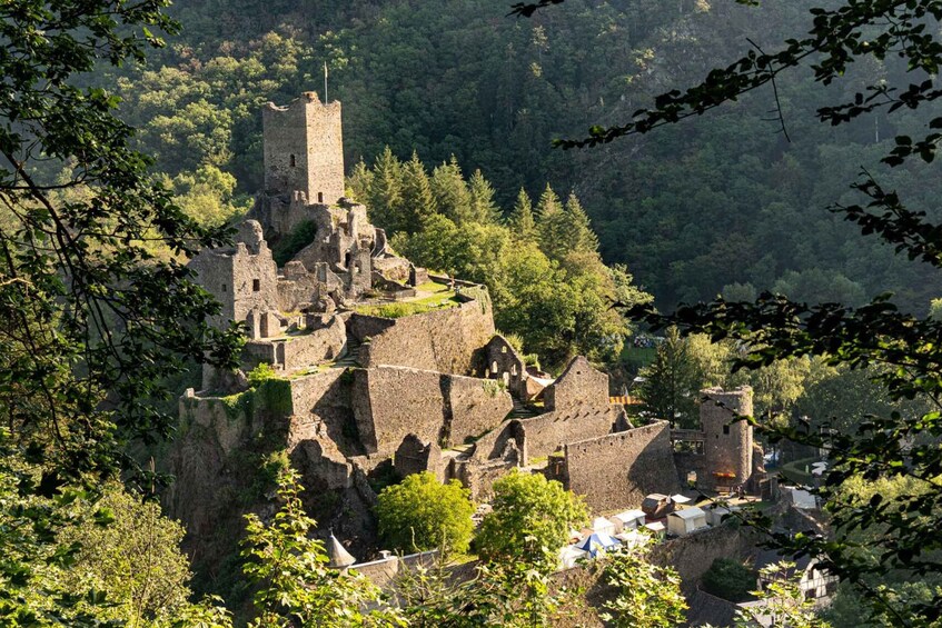 A historic castle perched on a cliff, surrounded by dense forest. 1