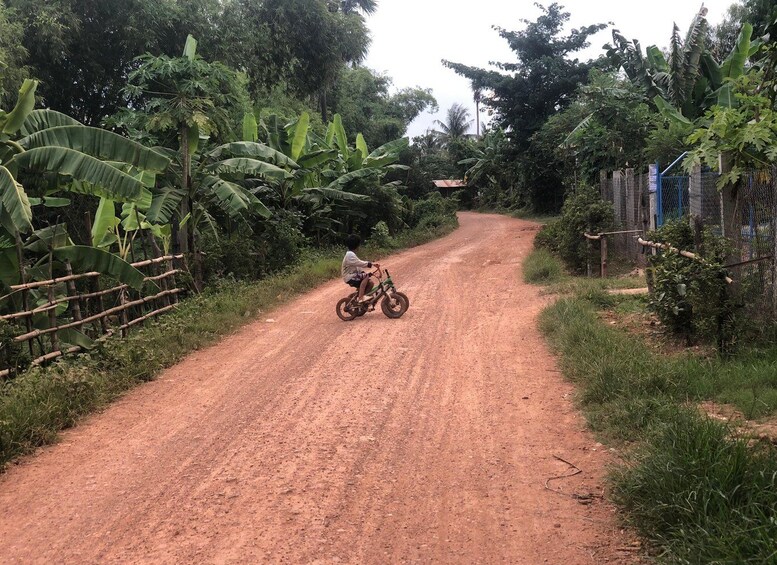 Un chemin de terre bordé de bananiers et délimité par une clôture en métal. 5