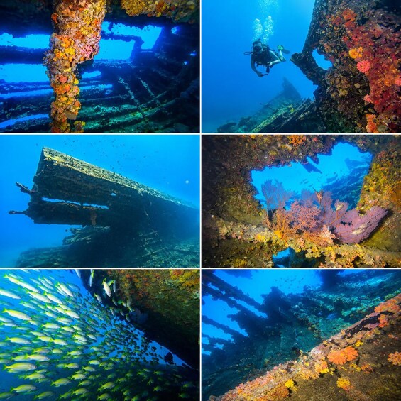 A submerged shipwreck with coral growth and a diver. 2