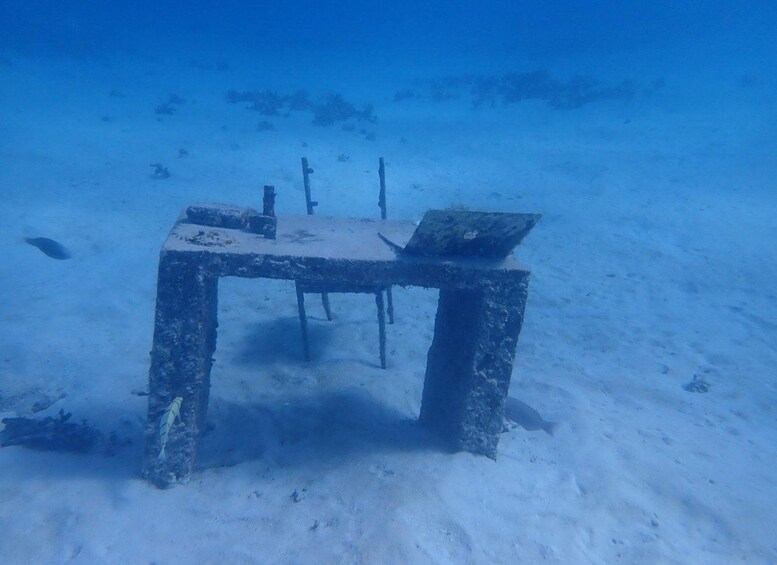 Scena subacquea con un tavolo e sedie affondati, circondati da vita marina. 3