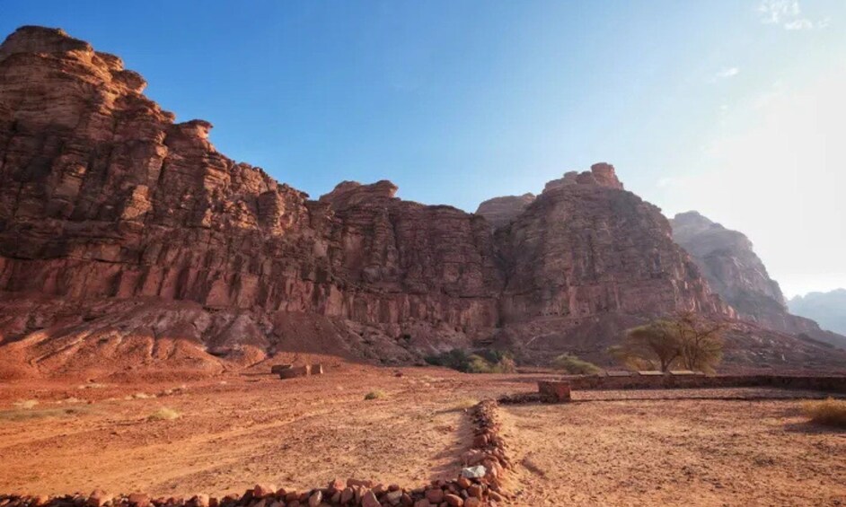 Paisaje desértico con acantilados rocosos y vegetación escasa. 5