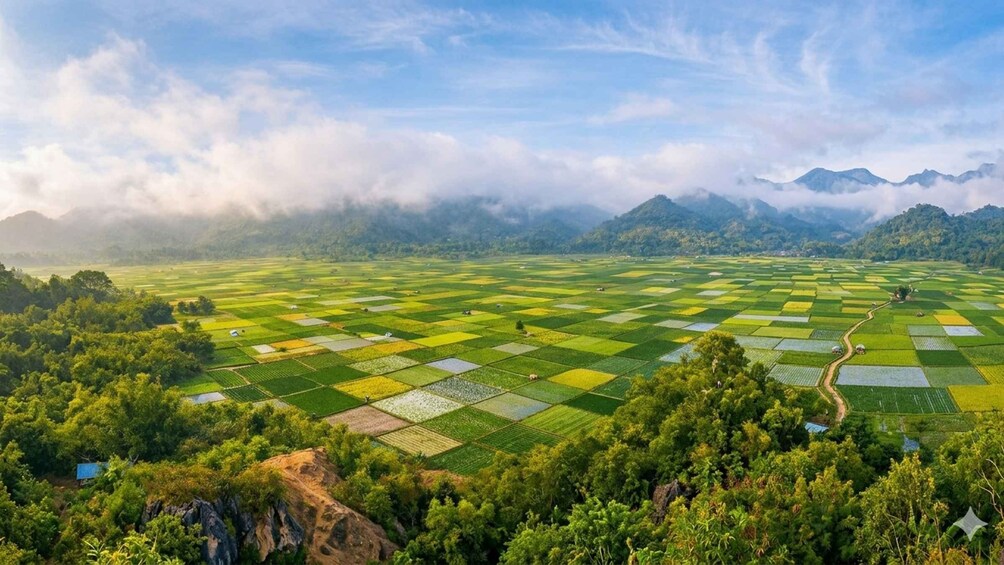 A vast terraced rice field with mountains in the background. 1