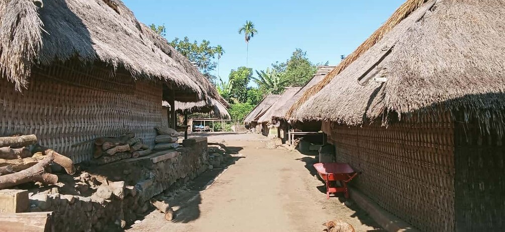 A village with thatched-roof houses, a narrow dirt path, and a palm tree in the background. 4