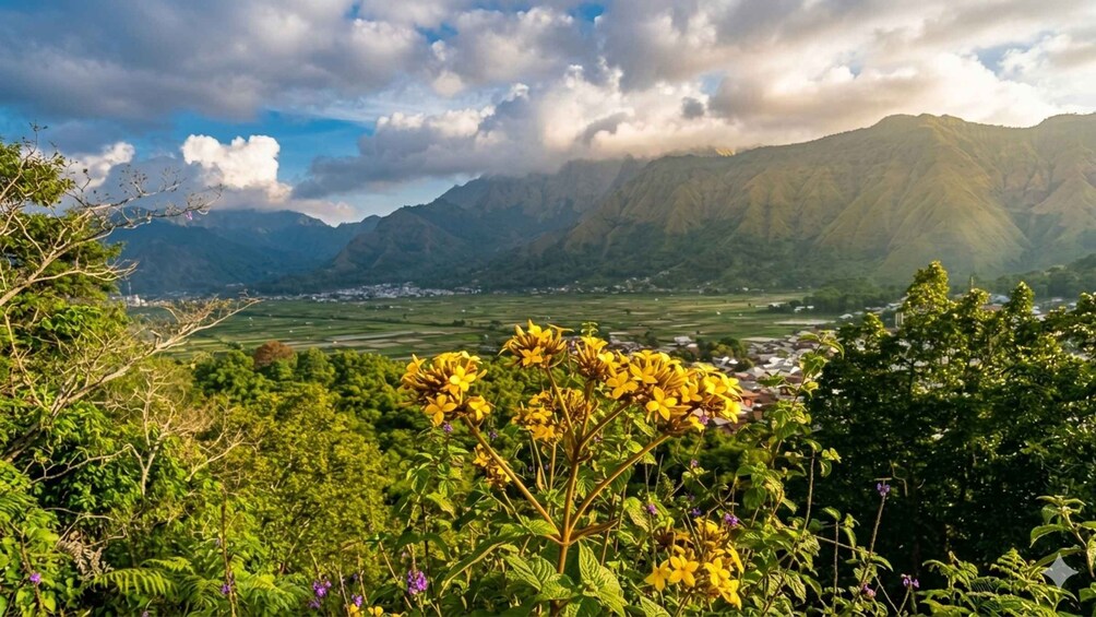 A mountainous landscape with a valley, greenery, and yellow flowers in the foreground. 5