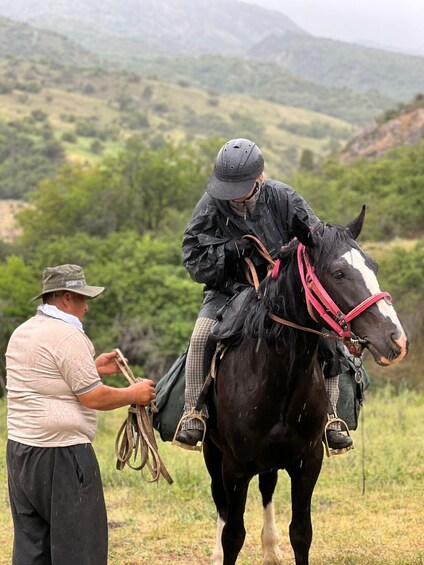 Una persona cavalca un cavallo in un paesaggio rurale, con delle colline sullo sfondo. 4