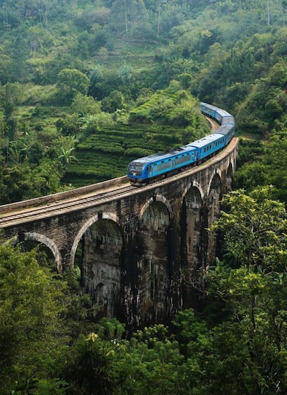 Un treno blu su un ponte ad arco che attraversa un paesaggio verde e rigoglioso. 1
