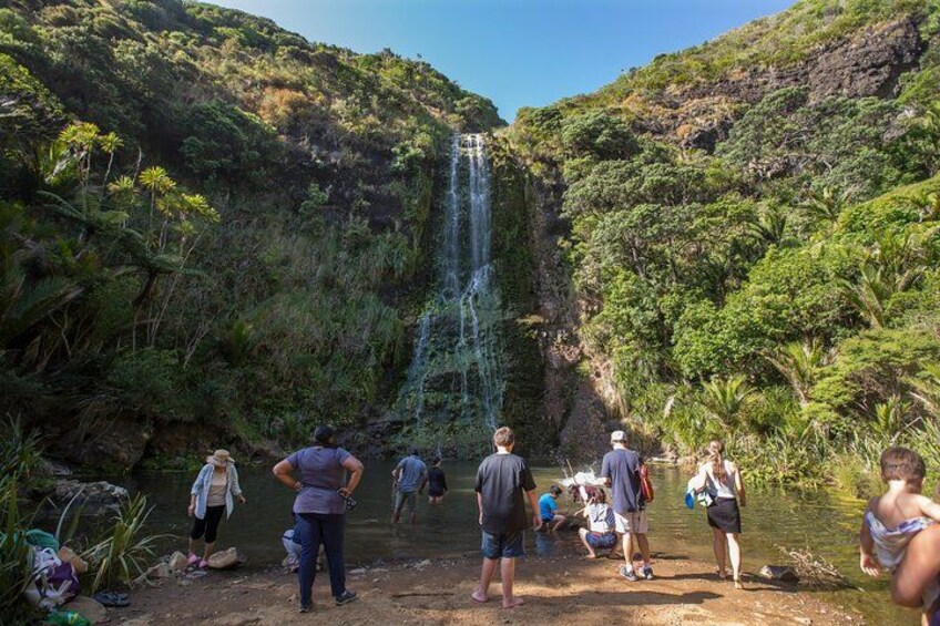 A waterfall surrounded by lush greenery and people observing it. 3