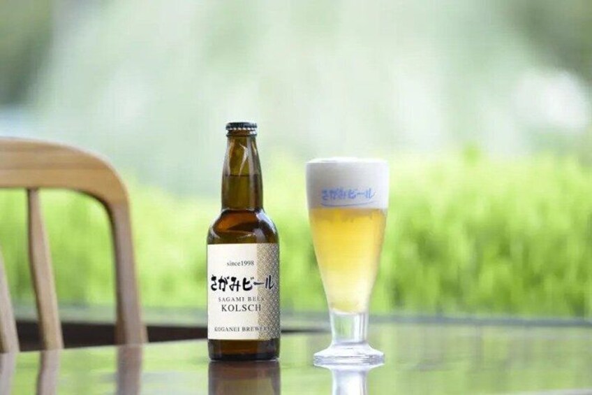 A bottle of beer and a glass on a table with a blurred green background. 1