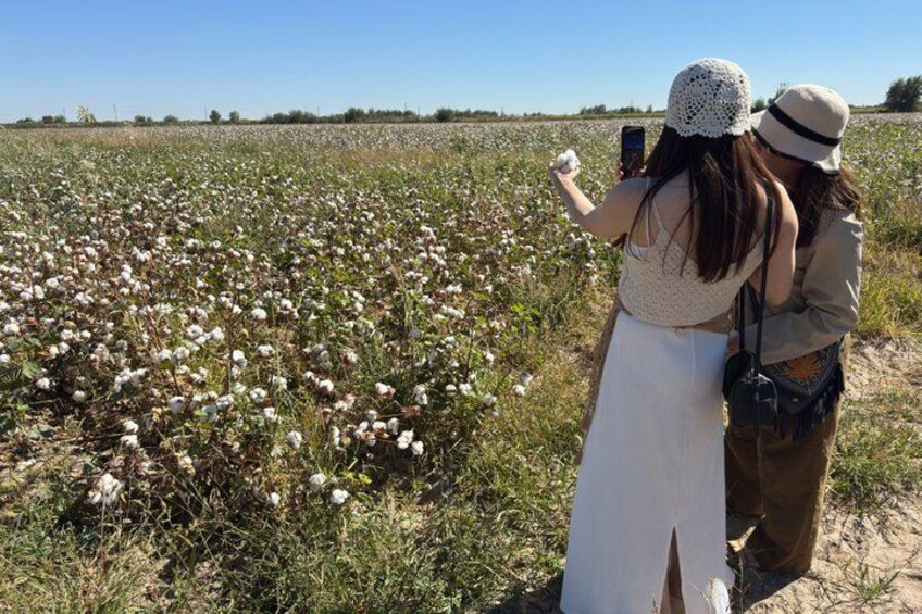 Two people taking a photo in a cotton field. 3