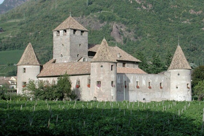 A medieval castle with multiple towers, surrounded by lush greenery and vineyards. 3