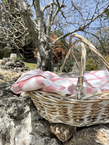A wicker picnic basket with a pink and white checkered cloth, placed on a rocky surface with trees in the background. 2