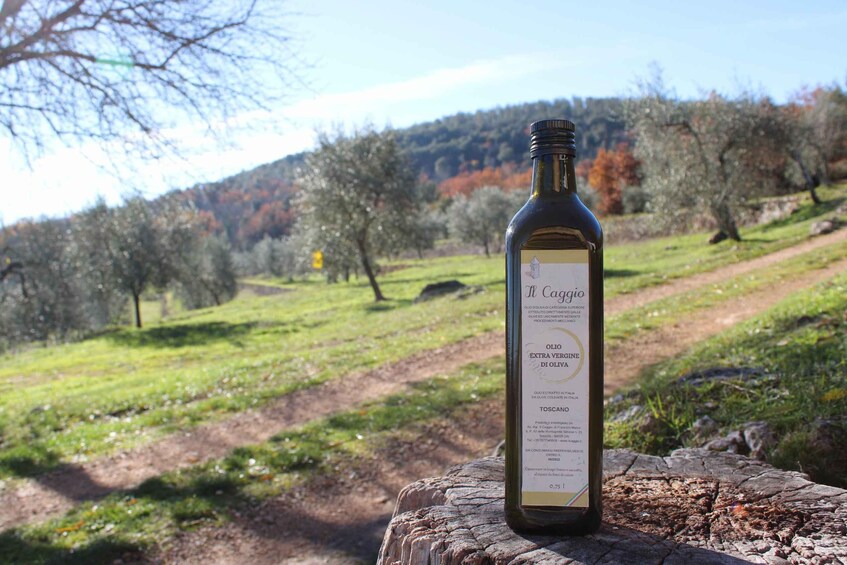A bottle of Il Caglio extra virgin olive oil on a tree stump with a scenic view of a vineyard and autumn trees in the background. 1