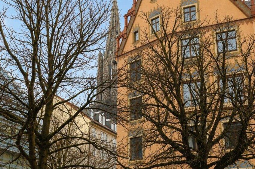 A building with multiple windows and a tree in the foreground. 5