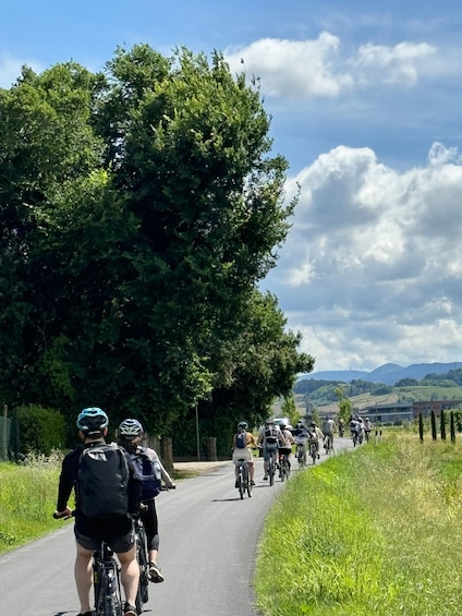 A group of cyclists on a paved road with trees on one side and a hilly landscape in the distance. 4