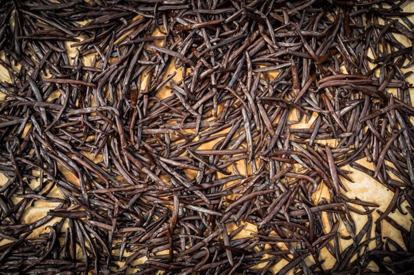 A close-up of numerous dark brown, elongated objects, possibly seeds or grains, densely packed together. 3