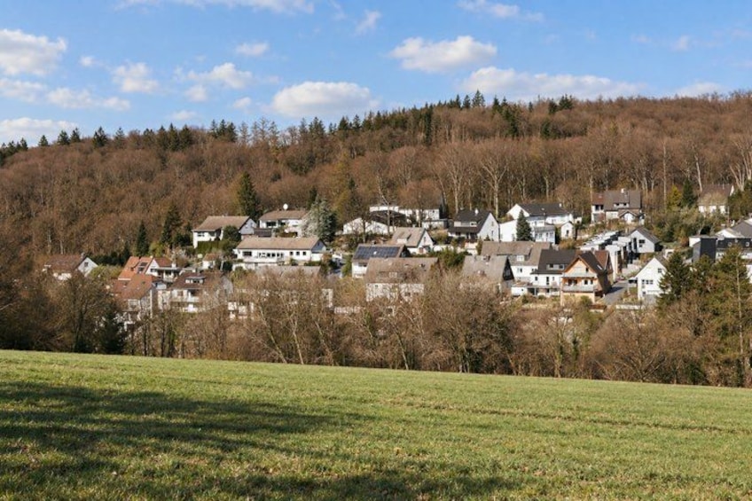 A hillside village with houses, a grassy foreground, and a forested hill in the background. 3