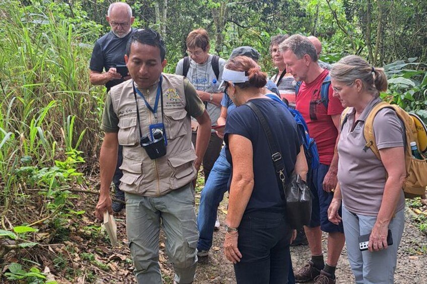 A group of people walking through a forested area with dense vegetation. 4