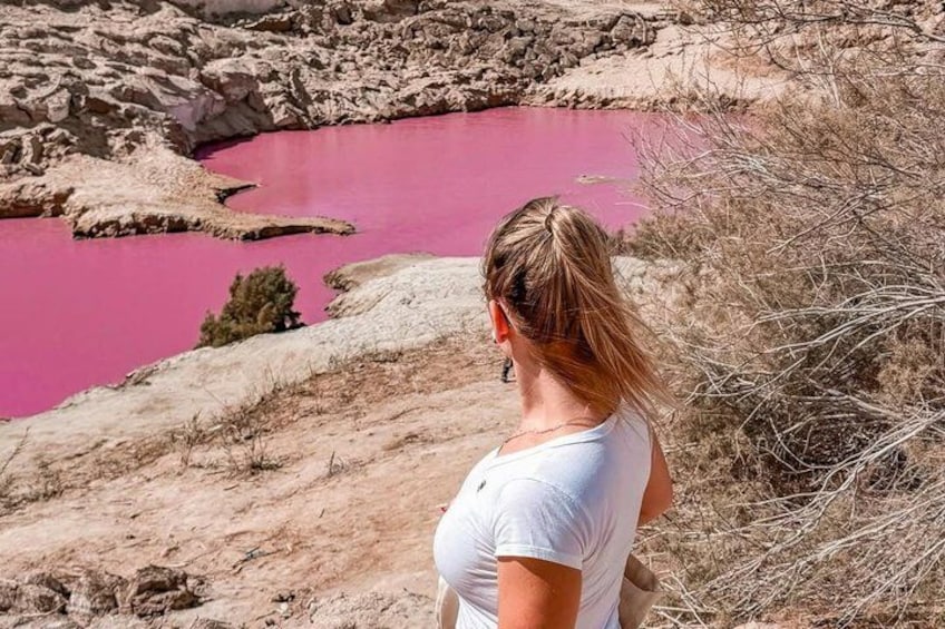 A person standing on a rocky terrain overlooking a pink lake. 2