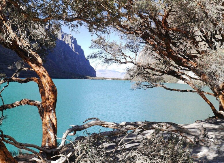 Picture 1 for Activity From Huaraz : Excursion to Chinancocha Lagoon 2