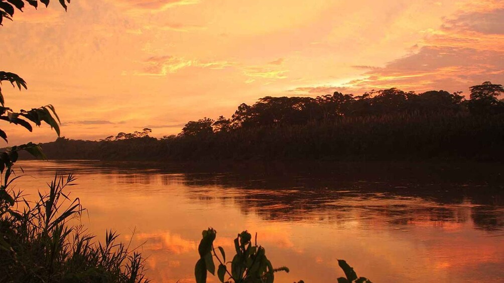 Ein Sonnenuntergang über einem ruhigen Fluss, mit gegen den Himmel abgesetzten Baumkonturen. 2