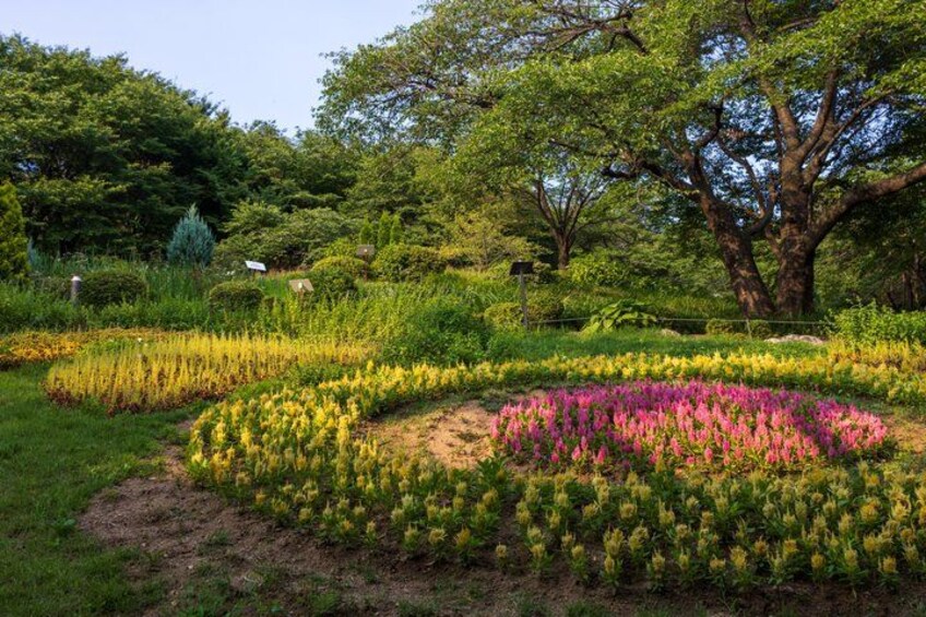 A garden with various flower beds, a large tree, and a dense green background. 4