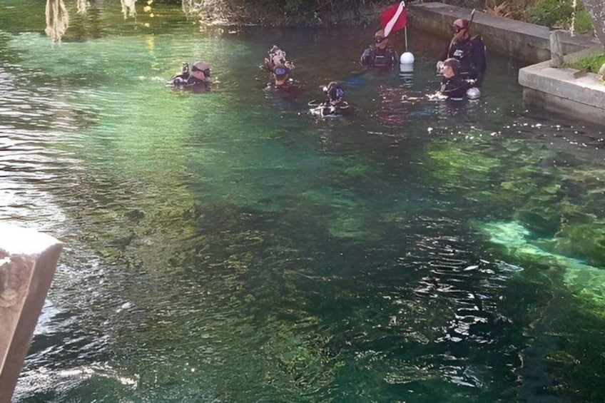 A clear pool with people swimming and a flag on the edge. 3