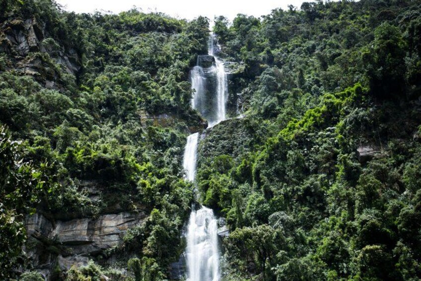 A multi-tiered waterfall surrounded by dense forest. 1