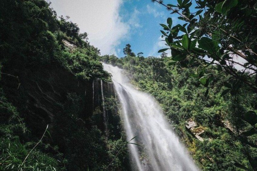 A waterfall surrounded by dense green foliage. 2
