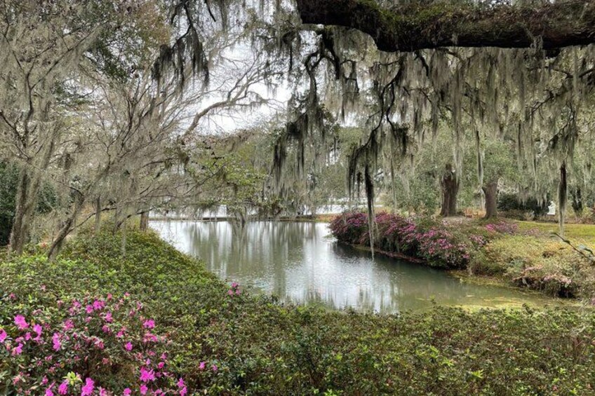 A serene pond surrounded by lush greenery and flowering bushes. 3