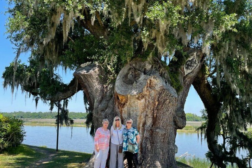 A large tree with a distinctive hollow trunk, a body of water in the background, and a clear sky. 2