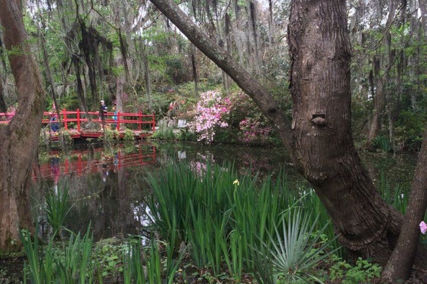 A red bridge over a pond surrounded by trees and greenery. 5