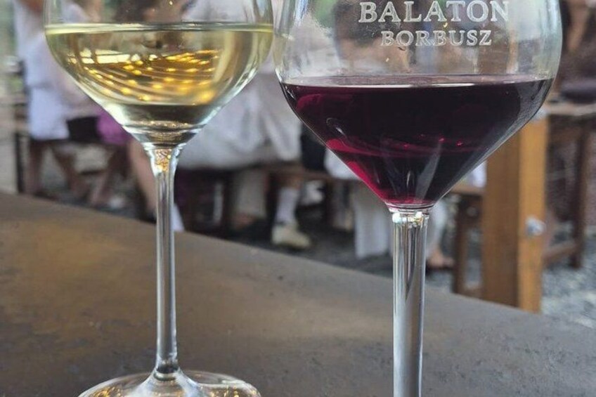 Two wine glasses, one with white wine and the other with red wine, on a table. 5