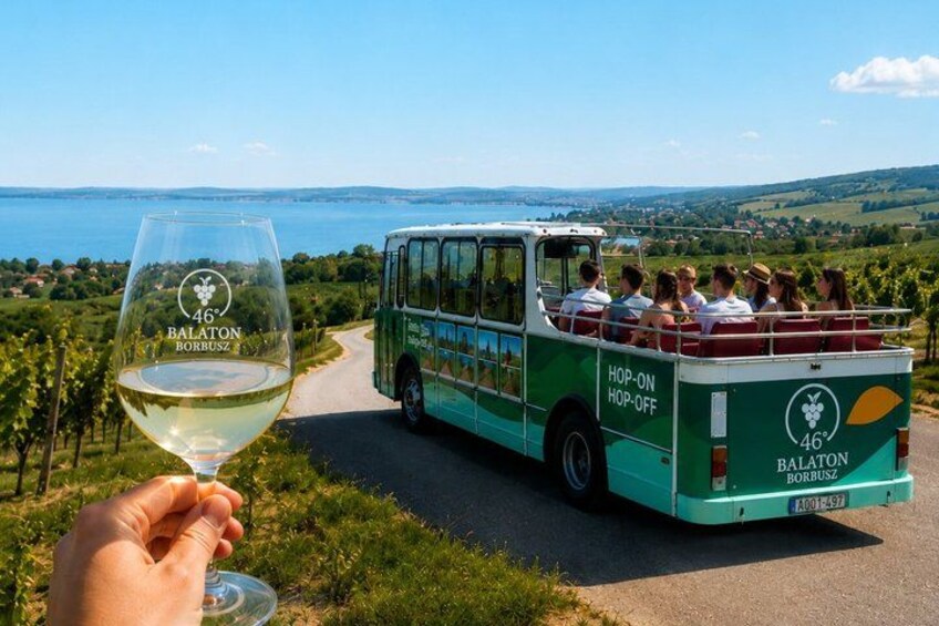 A green bus with passengers, a clear sky, and a vineyard in the background. 1
