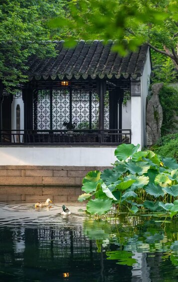 A traditional Chinese pavilion by a pond with ducks swimming. 2
