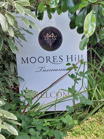 Un letrero con el texto 'MOORE'S HILL TASMANIAN PREMIUM COOL CLIMATE VINE' y 'BIENVENIDO', rodeado de follaje. 2