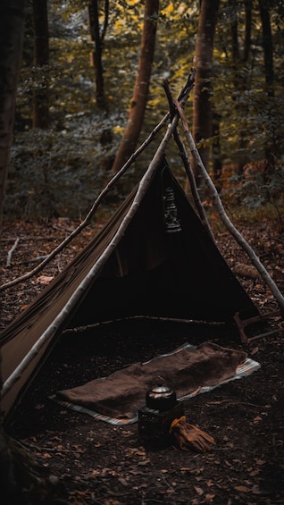A tent set up in a forest with a sleeping bag and a kettle inside. 3