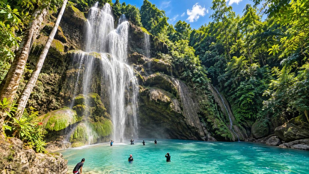 Una cascata che sfocia in una piscina turchese, circondata da vegetazione lussureggiante. 5