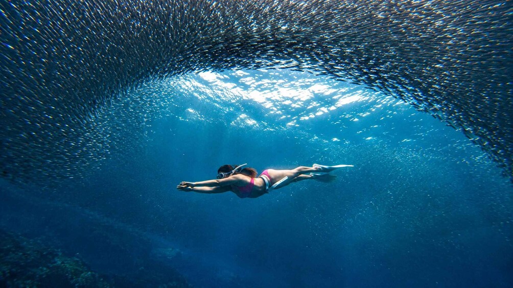 Une personne fait de la plongée sous-marine dans une eau d’un bleu cristallin, et un banc de poissons nage au-dessus d’elle. 4
