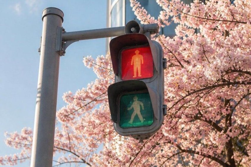 A traffic signal with a pedestrian crossing light and a red figure on the red light. 3