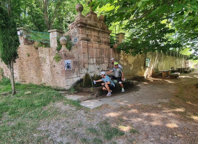 A stone wall with a plaque, a bench, and a tree. 1