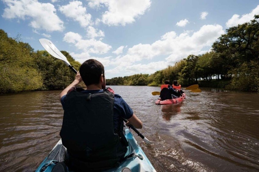 A person kayaking on a river surrounded by trees. 1