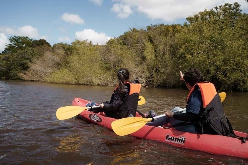 Two people kayaking on a river surrounded by trees. 2