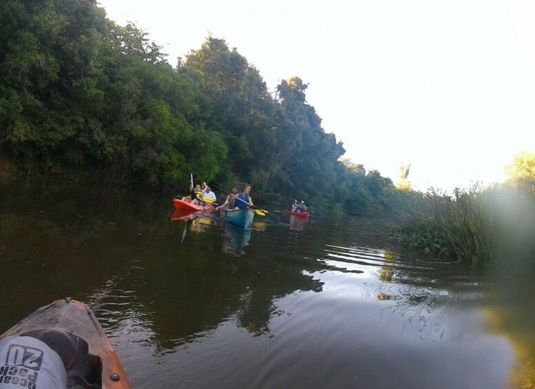 A group of people kayaking on a calm river surrounded by dense greenery. 3