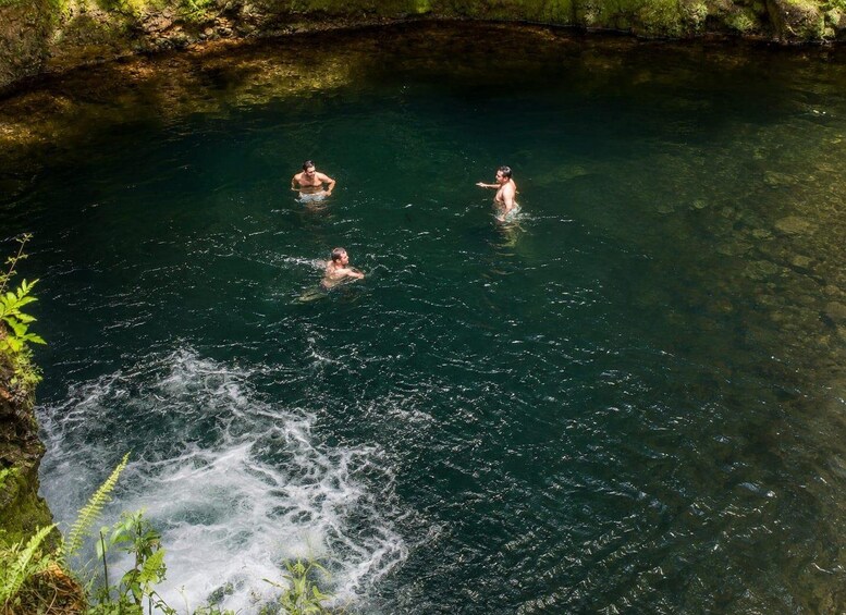 Tre persone nuotano in una piscina naturale e limpida, circondata da vegetazione. 3