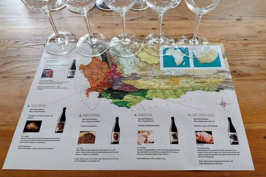 A wine tasting map with glasses and bottles. 2