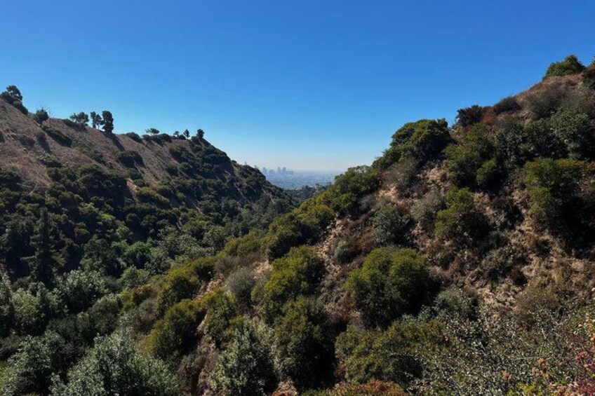 A hilly landscape with dense vegetation and a clear blue sky. 4