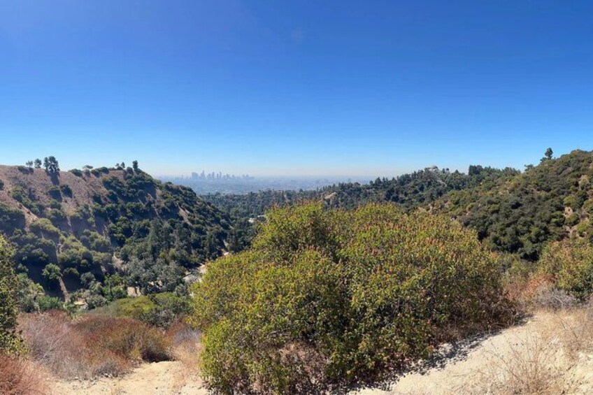 A hilly landscape with dense vegetation and a clear blue sky. 5