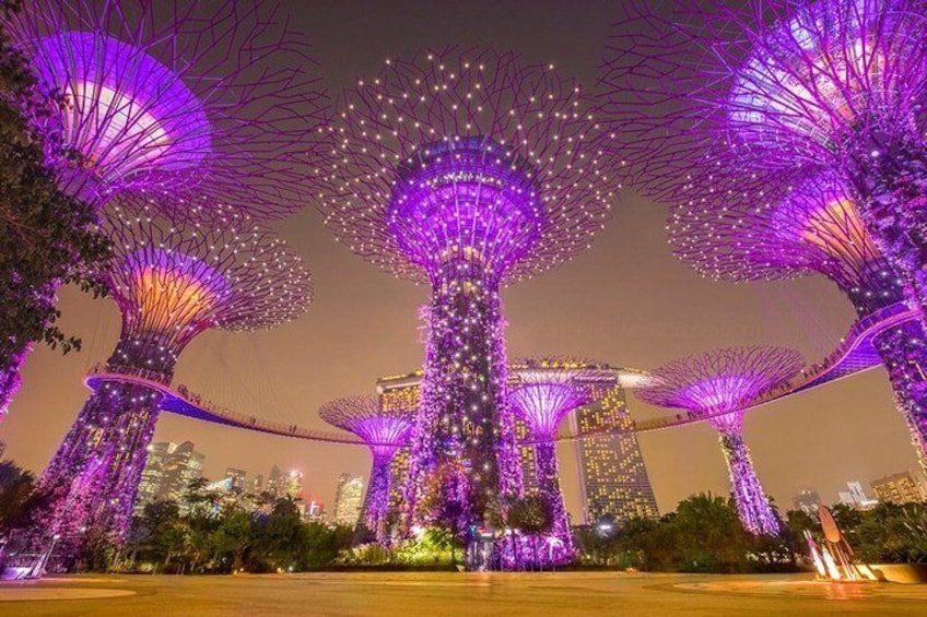 Illuminated tree structures with a cityscape in the background. 3