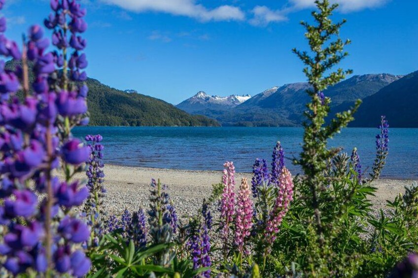 A lake with mountains in the background, surrounded by purple flowers. 3